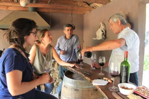 Full Day tierra del Carmenere a la tierra de grandes vinos