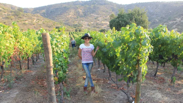 Full Day tierra del Carmenere a la tierra de grandes vinos