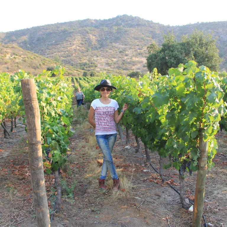 Full Day tierra del Carmenere a la tierra de grandes vinos
