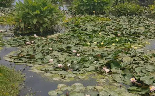 Viña Maquis – Tour Jardines