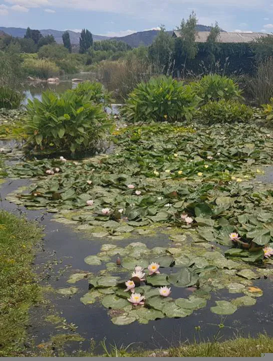Viña Maquis – Tour Jardines