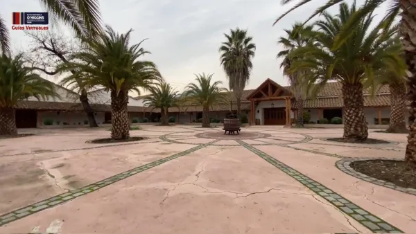 Viña Torreón de Paredes – Tour Premium