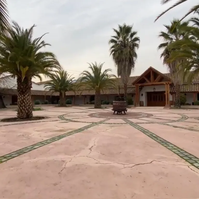 Viña Torreón de Paredes – Tour Premium