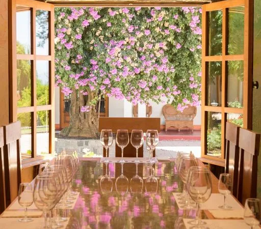 Sala de degustación