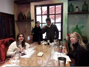 Viña Torreón de Paredes – Tour Premium