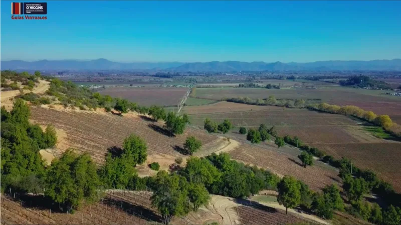 Mirador Viñedos