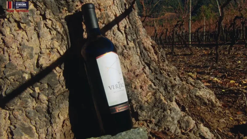 Mirador Viñedos