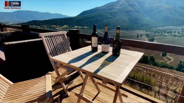 Mirador Viñedos