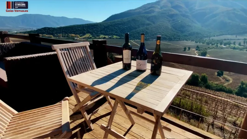 Mirador Viñedos