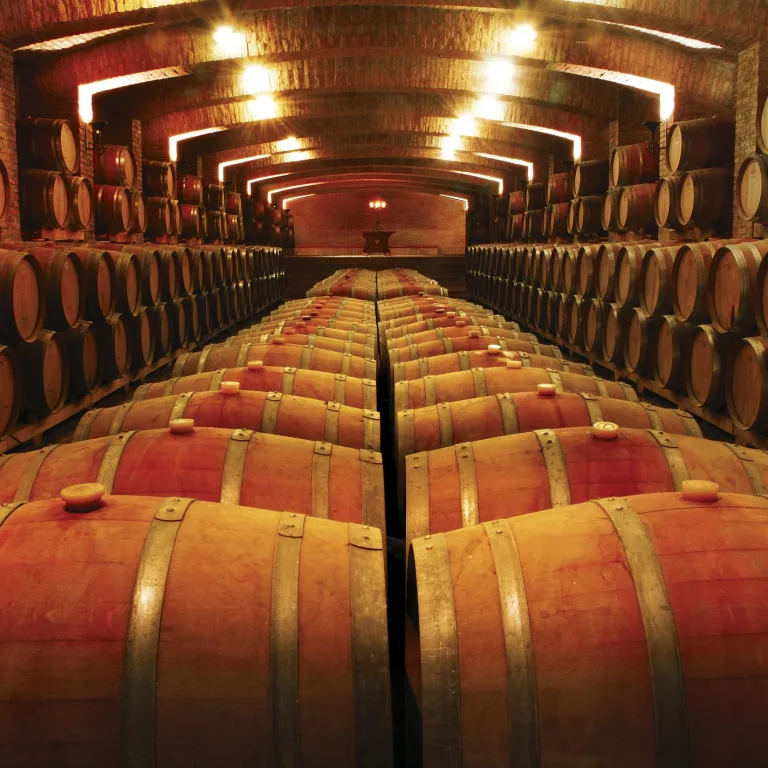 Tour Premium – VIÑA UNDURRAGA