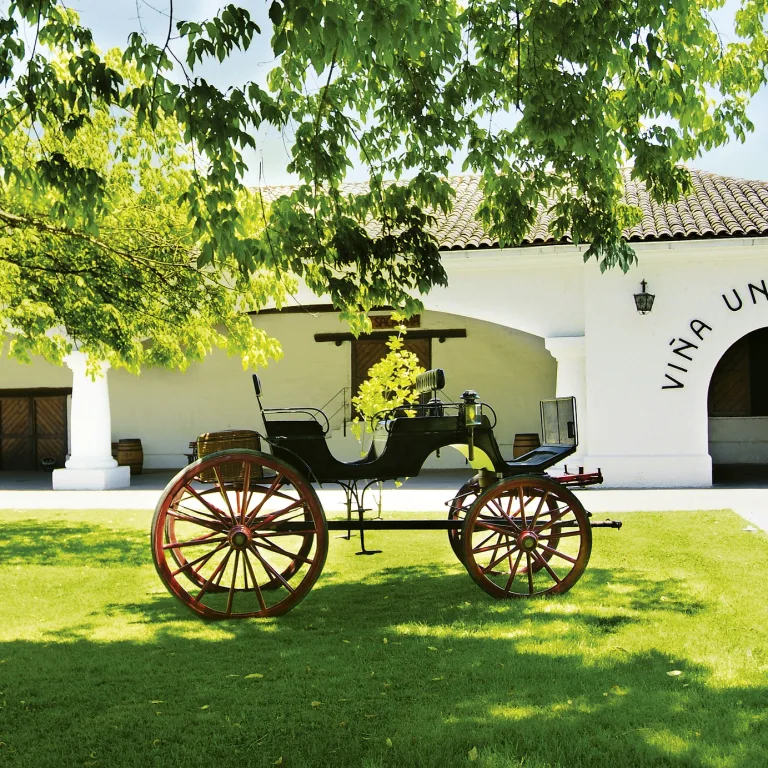 Tour Sibaris – VIÑA UNDURRAGA
