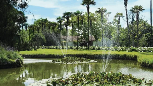 Tour Premium – VIÑA UNDURRAGA